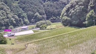 自立型AIクラウドカメラの物体検出画像