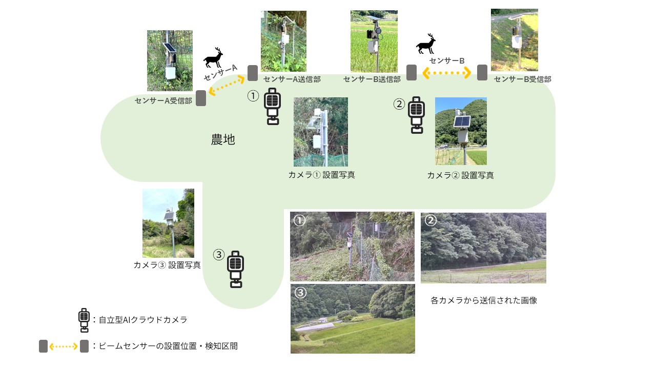 中山間地域の農地に設置したビームセンサーと自立型AIクラウドカメラの配置および撮影画像