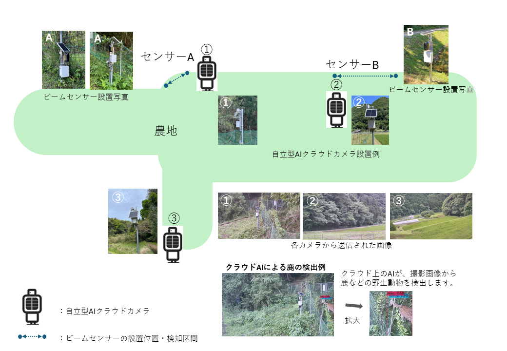 中山間地域の農地に設置したビームセンサーと自立型AIクラウドカメラの配置、撮影画像、鹿のAI検出例